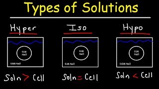 Hypertonic Hypotonic and Isotonic Solutions [upl. by Loralie968]