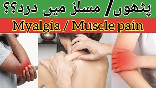 What is Myalgia muscle pain  causes of myalgia symptoms Treatment of Myalgia in HindiUrdu [upl. by Ecerehs723]