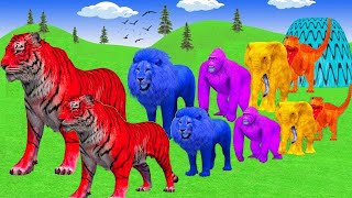 Long Slide Game With Elephant Gorilla Buffalo Hippopotamus Tiger  3d Animal Game  Funny Animals [upl. by Adohr174]