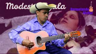 Modesta Ayala  Instrumental guitarras  Corrido de la Revolución Mexicana [upl. by Eyllom]