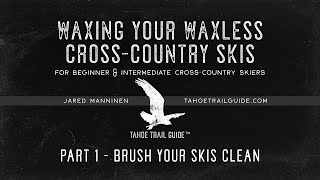 Wax Your Waxless XC Skis Part 1 Brush Your Skis Clean [upl. by Doowyah]