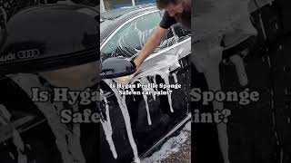 Is it safe on car paint Absolutely cardetailing sponges carcleaning carcare autodetailing [upl. by Melliw]