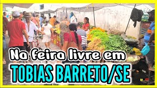 Enchentes na cidade de Tobias Barreto Sergipe  30112022 [upl. by Helaine]