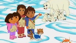 Go Diego Go  3x18  The Great Polar Bear Rescue P2 Best Moment Plus [upl. by Ylak]