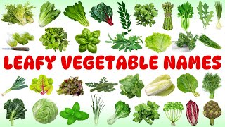 Leafy Vegetables for Kids – Leafy Vegetable Names Green Vegetables Vegetable Pictures amp Vocabulary [upl. by Lowery]