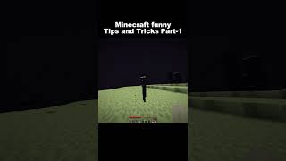 Minecraft funny tips and tricks part1 indiangamer hindigameplay minecraftfunny funny [upl. by Ecertap]