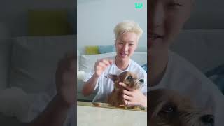 SEVENTEEN Weverse Live 호시 HOSHI  🐯  240728 [upl. by Trini]