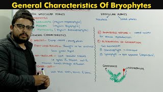 Bryophytes Plants Introduction Chapter Diversity Among Plants [upl. by Nelaf]