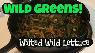 Cooking wild spring greens Wilted wild lettuce [upl. by Fotzsyzrk872]