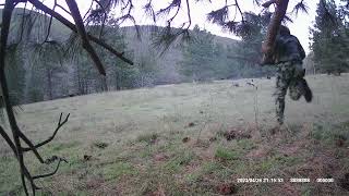 Klickitat Guided Turkey Hunt with Tracy Zoller 2023 [upl. by Canotas]