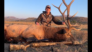 Elk hunting New Mexico 2020 Milligan Brand Outfitter [upl. by Adnahcir]