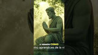 De Víctimas a Aprendices Transforma Tu Vida marcoaurelio ESTOICISMO filosofia frases motivacion [upl. by Inattyrb949]