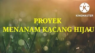 Proyek Mengamati Siklus Hidup TumbuhanKacang HijauIPAS Kelas 4 SD [upl. by Elsbeth]