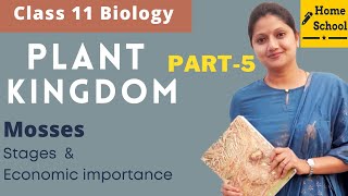 Plant Kingdom Class 11 Biology  Mosses Part5 [upl. by Shornick]