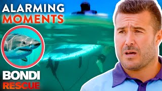 Top 5 Alarming Moments on Bondi Rescue  Season 12 [upl. by Lynett]