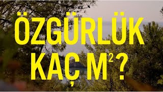 Özgürlük Kaç M²  “Tüm Bölümler Gain’de” [upl. by Beatty]