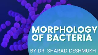 MORPHOLOGY OF BACTERIA  SIZE  SHAPE  ARRANGEMENTS [upl. by Henghold871]