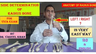 SIDE DETERMINATION OF RADIUS BONE FOR VIVA EXAM IN HINDI  RADIUS ANATOMY IN HINDI FOR VIVA EXAM [upl. by Stallworth]