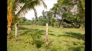 Philippine Farm and Beautiful House Dipolog City [upl. by Labina]