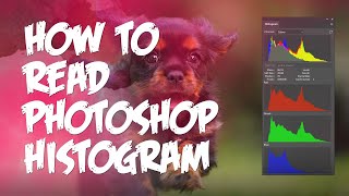 Photoshop Histograms Explained for Beginners [upl. by Oinoitna]