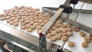 Biscuits And Cookies Packaging Line With Auto Feeder [upl. by Elimac]