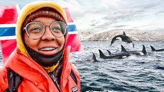 Nomad In Norway 🇳🇴Sailing The ArcticMy First Catamaran Adventure😳247 [upl. by Lorimer]