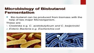 Butanol production part 1 [upl. by Lesnah]