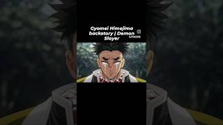 Gyomei Himejima backstory  Demon Slayer [upl. by Colvin]