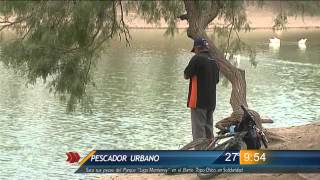 Las Noticias  Pescador urbano saca sus peces del Parque Lago Monterrey [upl. by Naomi]