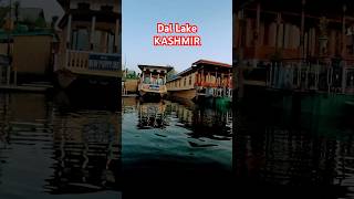 Houseboats of Kashmir 😄shortstravel kashmirviralvideotravelshorts61 [upl. by Tine]