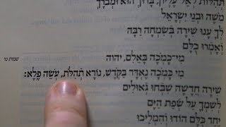 Mi Kamocha How to Say This Jewish Prayer [upl. by Mellicent]