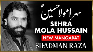 Sehra Mola Hussain AS  Manqabat 2011  Shadman Raza l PanjtanPoint [upl. by Conan]