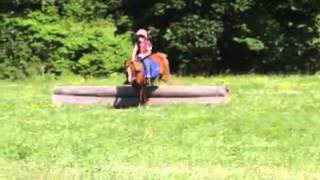 Shetland pony and Little Girl Eventing [upl. by Athalla543]