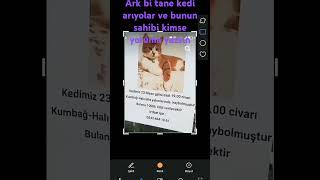 Bi tane kedi arıyolar kayboldu😭😭 [upl. by Ashby772]