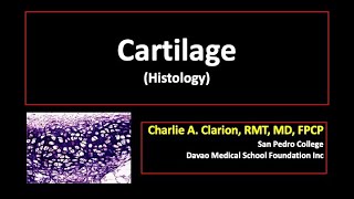 Cartilage [upl. by Nov]