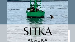 Sitka Alaska [upl. by Gardy]