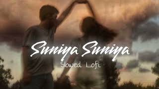 Suniya Suniya  slowed reverb song   Trending song  slowed  reverb  TSeries  music lover [upl. by Anileh]