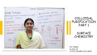 PURIFICATION OF COLLOIDS DIALYSIS AND ELECTRODIALYSIS IN TAMIL SURFACE CHEMISTRY  CLASS 12 [upl. by Ynobe356]