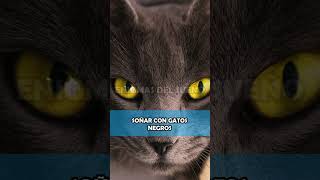 SOÑAR con GATOS NEGROS ¿Qué Significa ✨ INTERPRETACIÓN de los SUEÑOS ✨ [upl. by Spitzer]