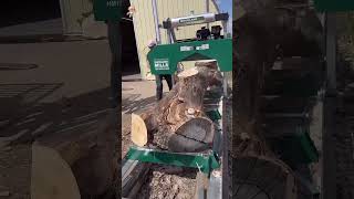 Extreme Dangerous Fastest Big Chainsaw Cutting Tree Machines [upl. by Aneert295]