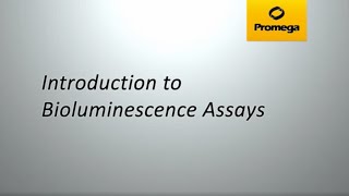 Introduction to Bioluminescent Assays [upl. by Aivital]