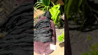 Unbraiding is soo satisfying now he has waves beetlejuice youtubeshorts horse valegro [upl. by Irrek]