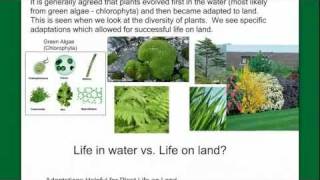 Introduction to Plant Diversity [upl. by Atihcnoc]