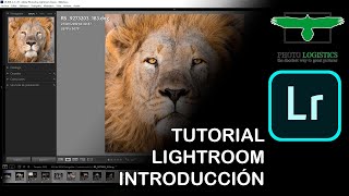 Tutorial Lightroom  Introducción en Español [upl. by Tnilf]