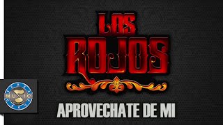 Los Rojos  Aprovechate de mi Audio [upl. by Flosi651]