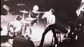 04 Fat Bottomed Girls Live at the Palais des Sports Lyon 2171979 [upl. by Anotyal]