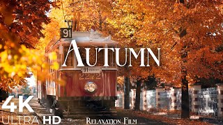 Autumn 4K • Scenic Relaxation Film with Peaceful Relaxing Music and Nature Video Ultra HD [upl. by Savick300]