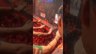 La tomatina festival 🍅 [upl. by Sialac546]