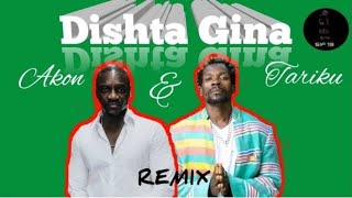 Dishta Gina Remix Akon amp Tariku  Dishta Gina  Akon  Tariku  SIF 19 [upl. by Yk]