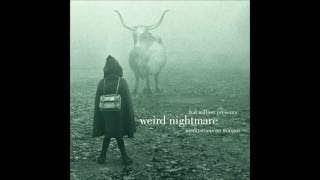 Weird Nightmare meditation on mingus  Hal Willner full album [upl. by Brozak78]